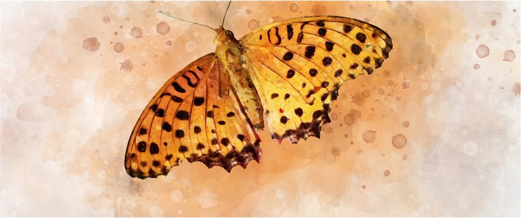 Obraz - Oranžový motýľ, aquarel (120x50 cm)