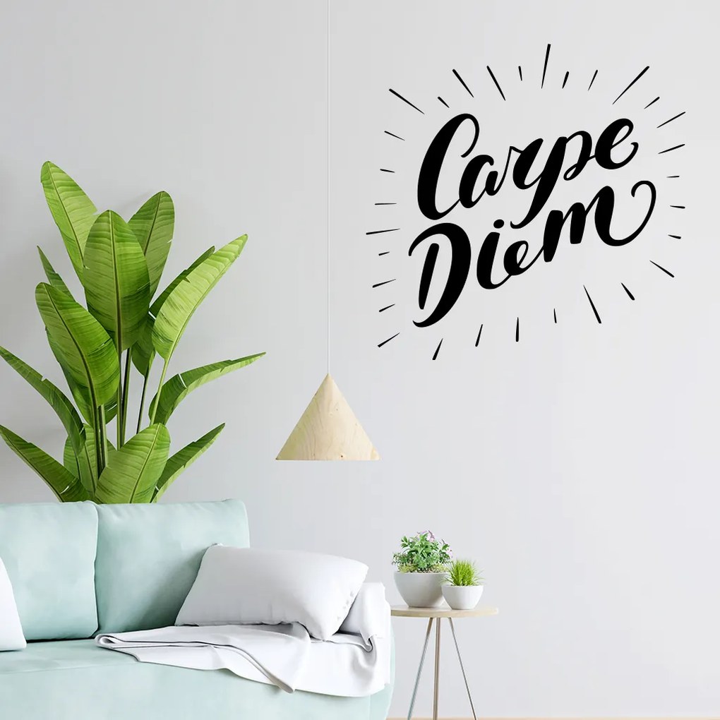 Veselá Stena Samolepka Carpe Diem (Užívaj dňa) Farba: modrá, Veľkosť: 60 x 60 cm
