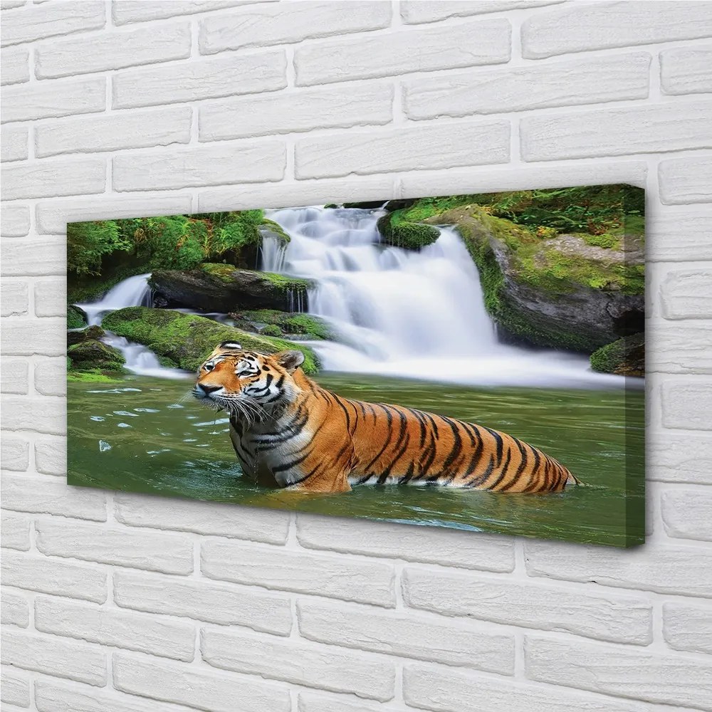 Obraz na plátne tiger vodopád 120x60 cm