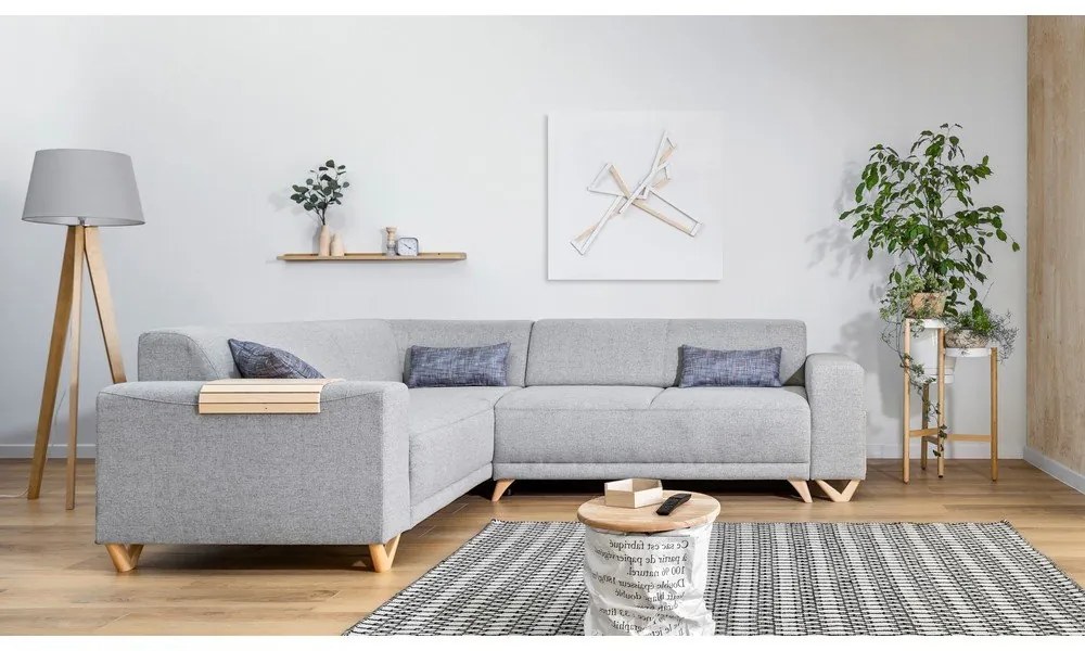 Svetlosivá rozkladacia/s úložným priestorom rohová pohovka (ľavý roh/do L) Classy Sophie – Miuform