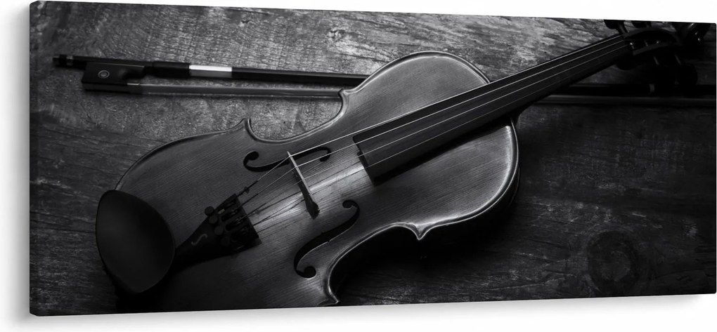 Obraz - Viola (120x50 cm)
