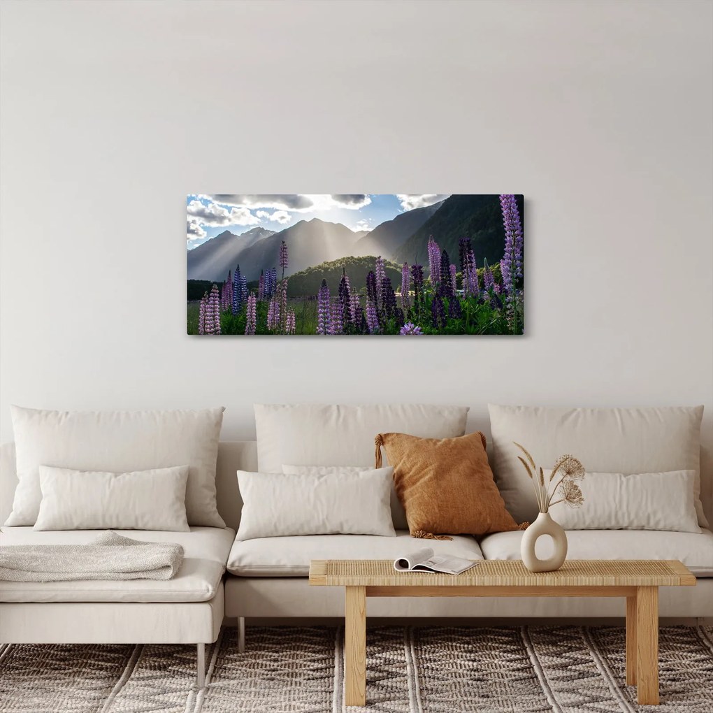 Obraz - Scenérie vlčích bôbov (120x50 cm)