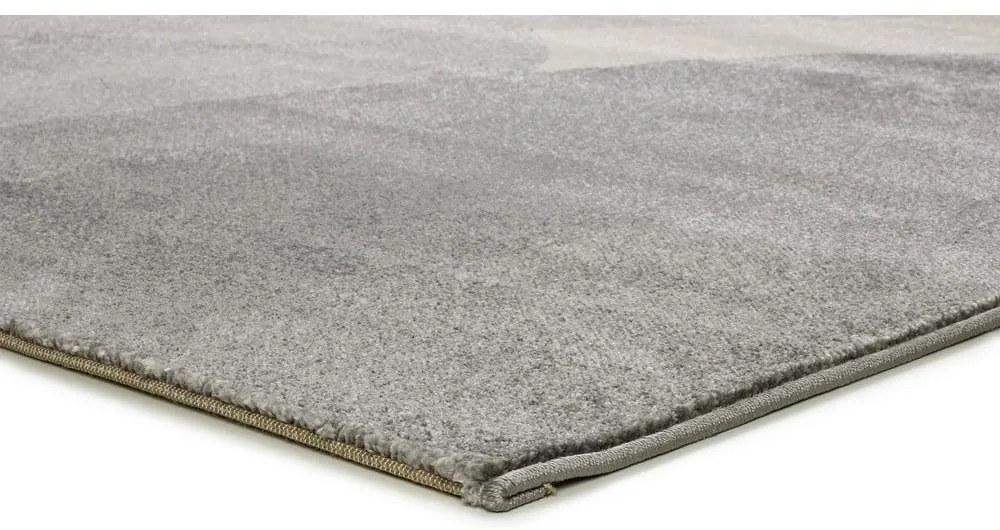 Sivý koberec 80x150 cm Monic – Universal