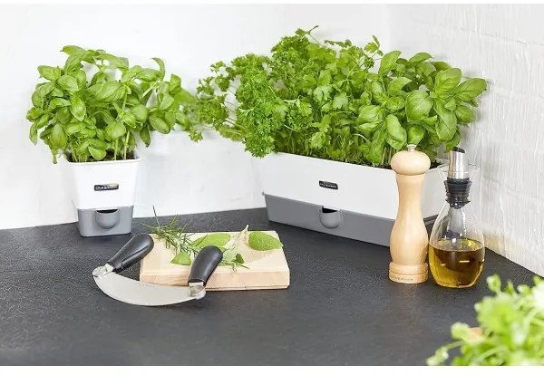 Cole&Mason - Mlynček na soľ CAPSTAN BEECH buk 20 cm