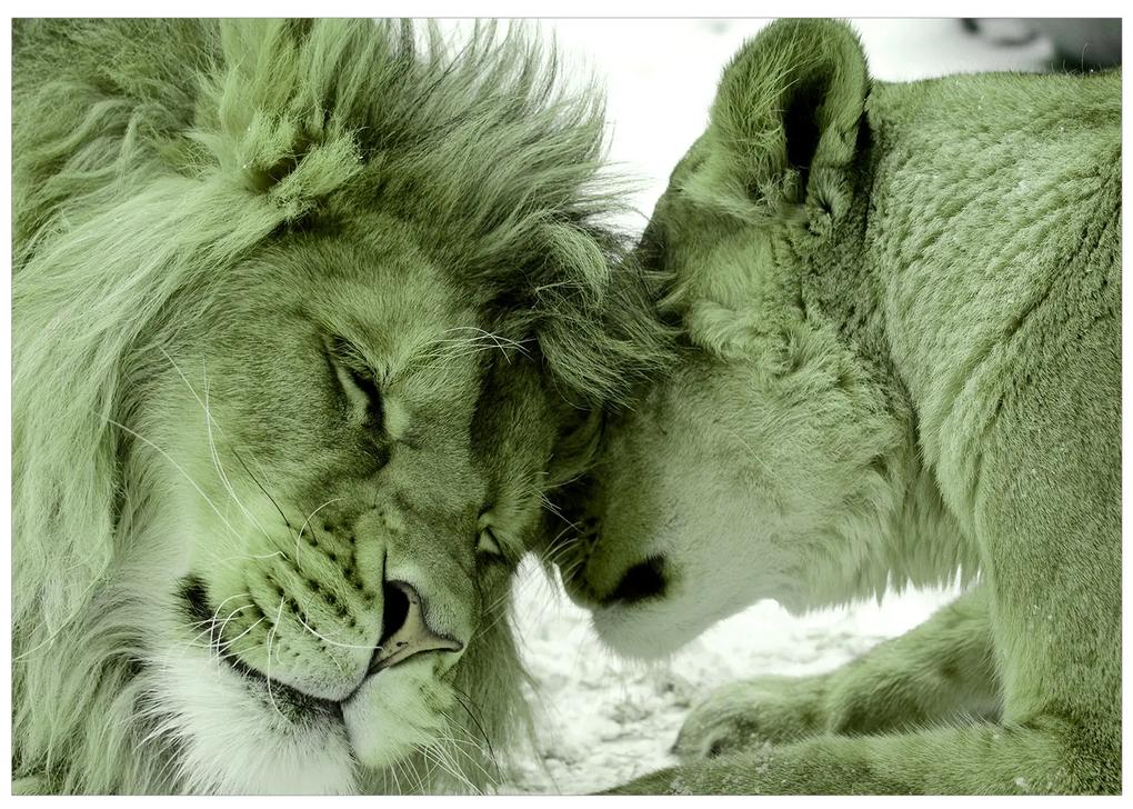 Artgeist Fototapeta - Lion Tenderness (Green) Veľkosť: 100x70, Verzia: Standard