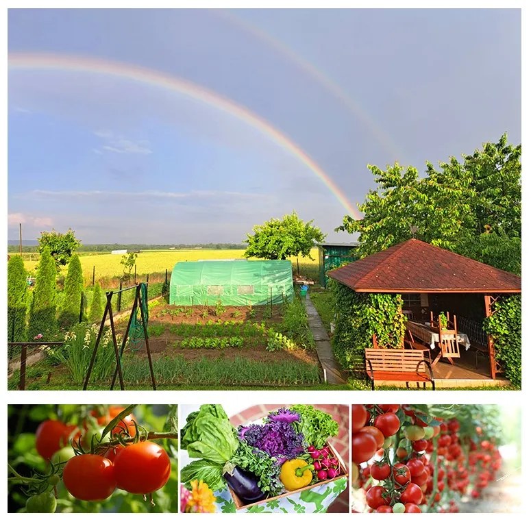 Fóliovník 2x3m zelený STANDARD