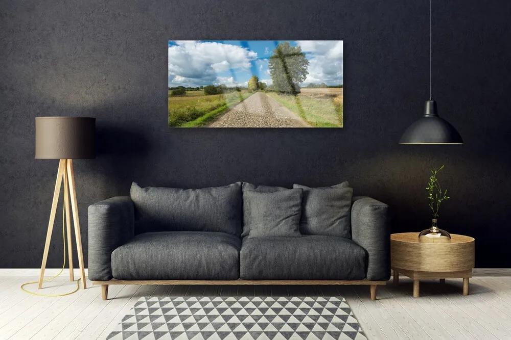 Obraz na skle Dedina cesta dlažba krajina 120x60 cm