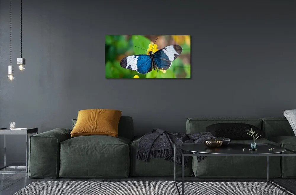 Sklenený obraz Farebný motýľ na kvety 125x50 cm