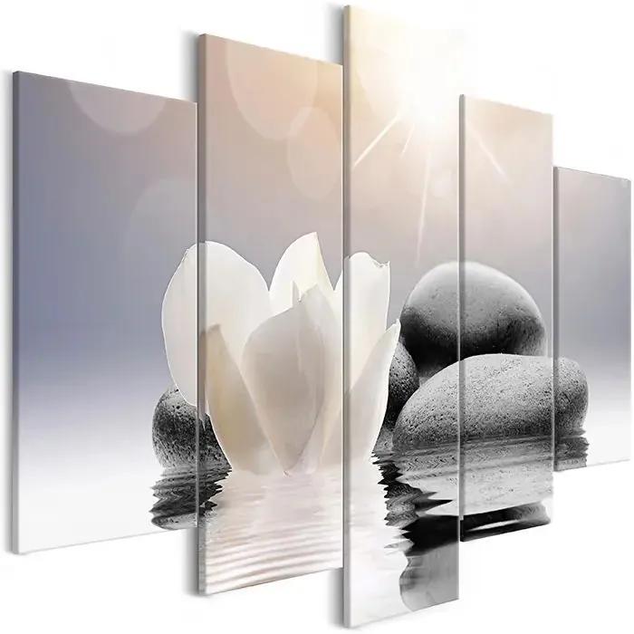 Obraz - Natural Lightness (5 Parts) Wide Veľkosť: 100x50, Verzia: Premium Print