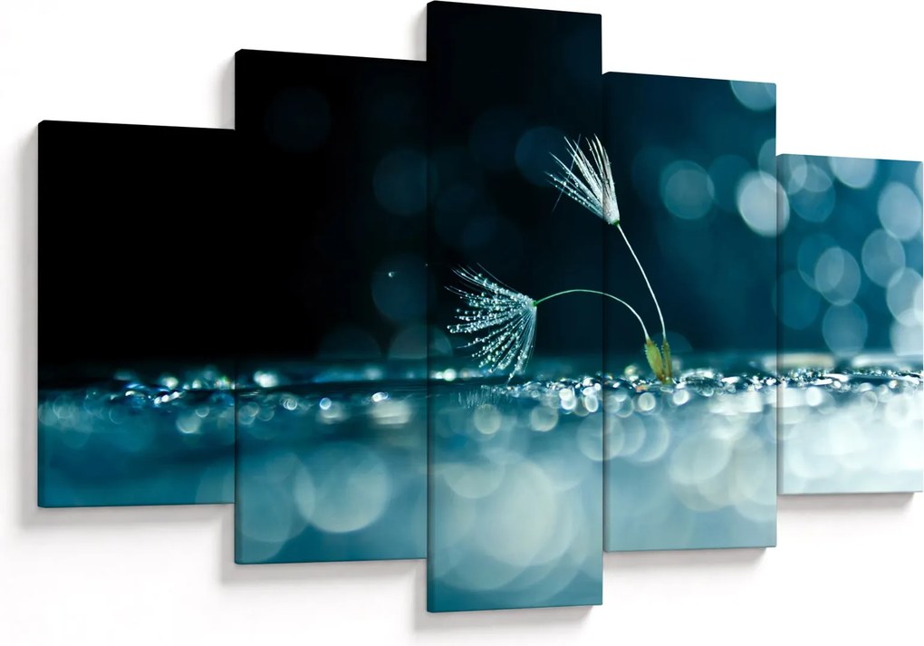 Obraz - Makro (150x105 cm)