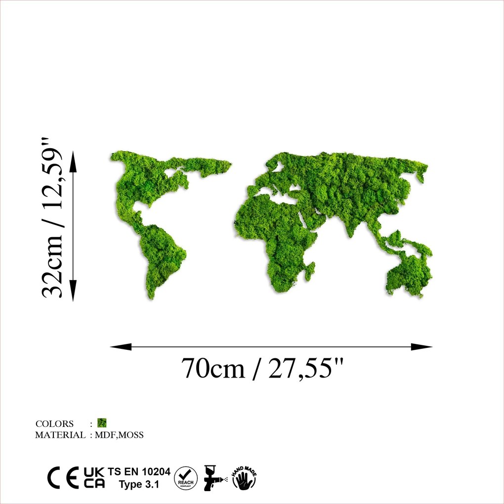World Map