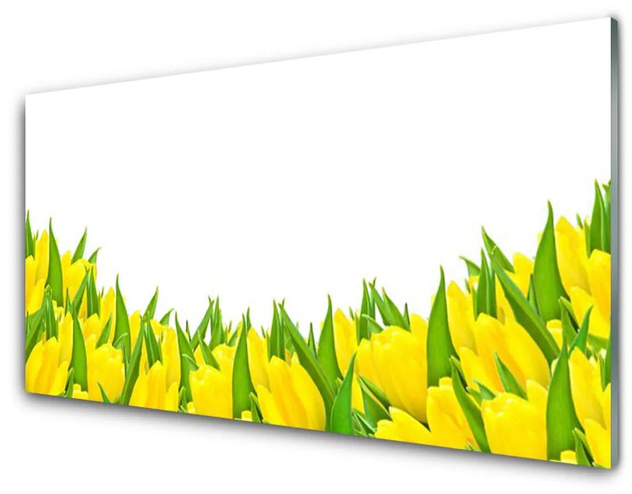 Skleneny obraz Kvety príroda tulipány 100x50 cm