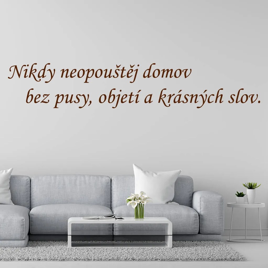 Veselá Stena Samolepka Nikdy neopúšťaj domov bez pusy, objatia a krásnych slov Farba: růžová, Veľkosť: 80 x 18 cm