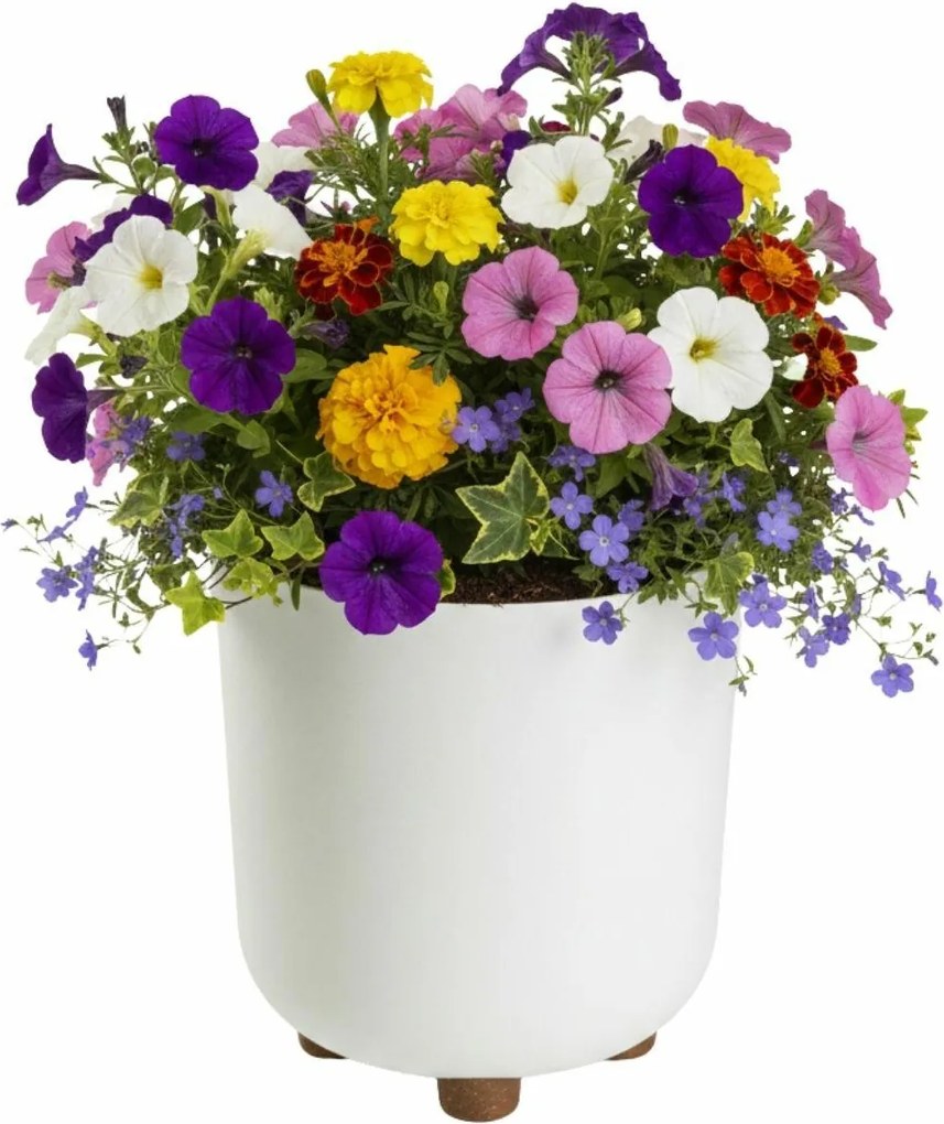 Plastový květináč na nožičkách Terra 21x19,3 cm - výber z 6 prevedení