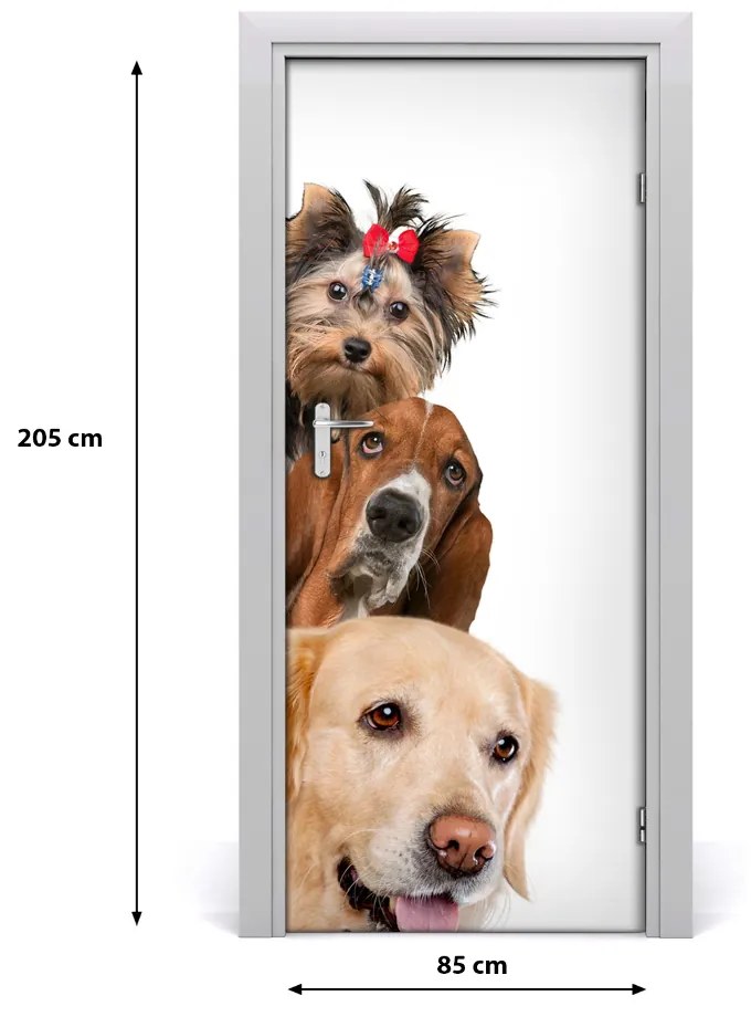 Samolepiace fototapety na dvere Psy a mačky 85x205 cm