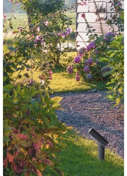 Lucide 27894/05/29 -LED Vonkajšia lampa TATUM LED/4,5W/230V IP65 39,5 cm antracit