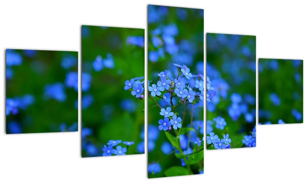 Obraz modrých kvetín (125x70 cm), 40 ďalších rozmerov