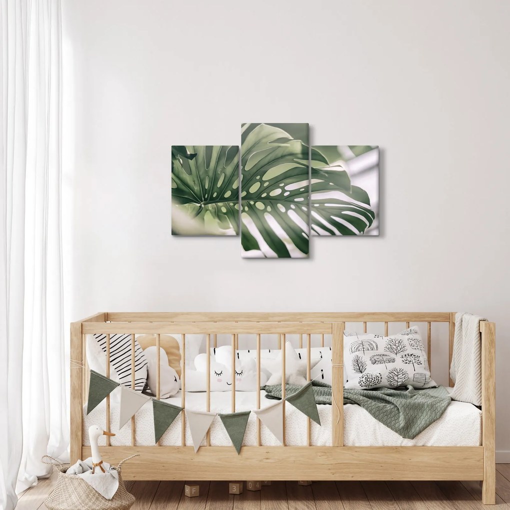 Obraz - List monštier (90x60 cm)
