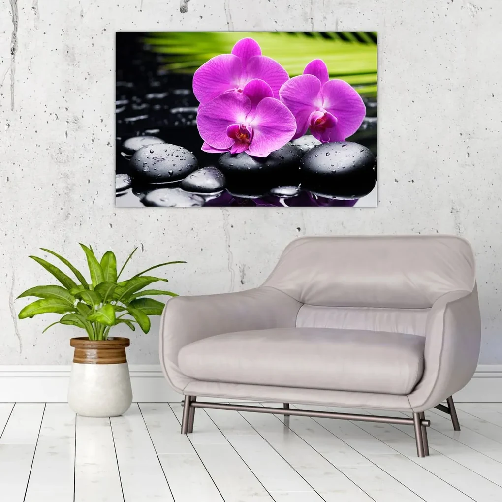 Obraz - Orchidey (90x60 cm)
