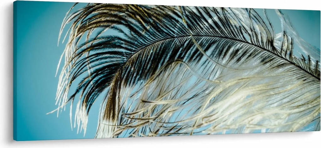 Obraz pierka (120x50 cm)