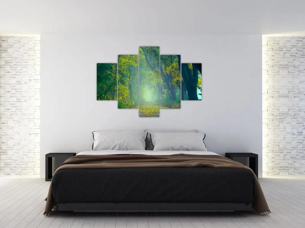 Obraz cesty lemovanej stromami (150x105 cm)
