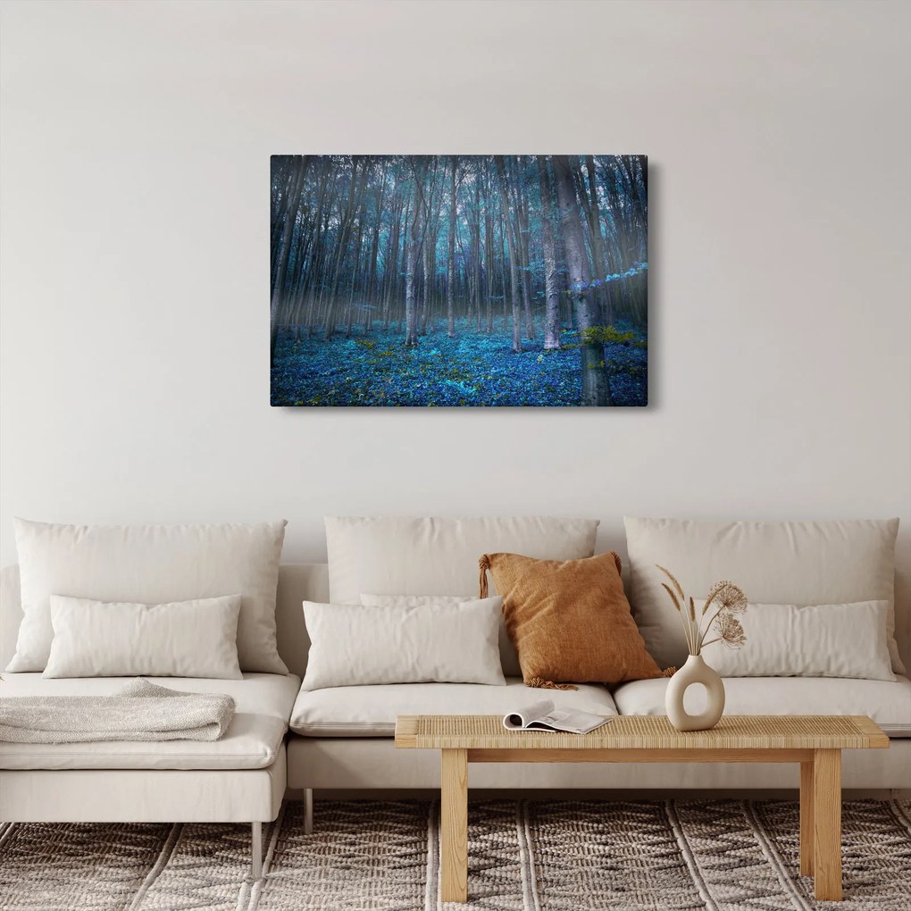 Obraz - Magický les (90x60 cm)