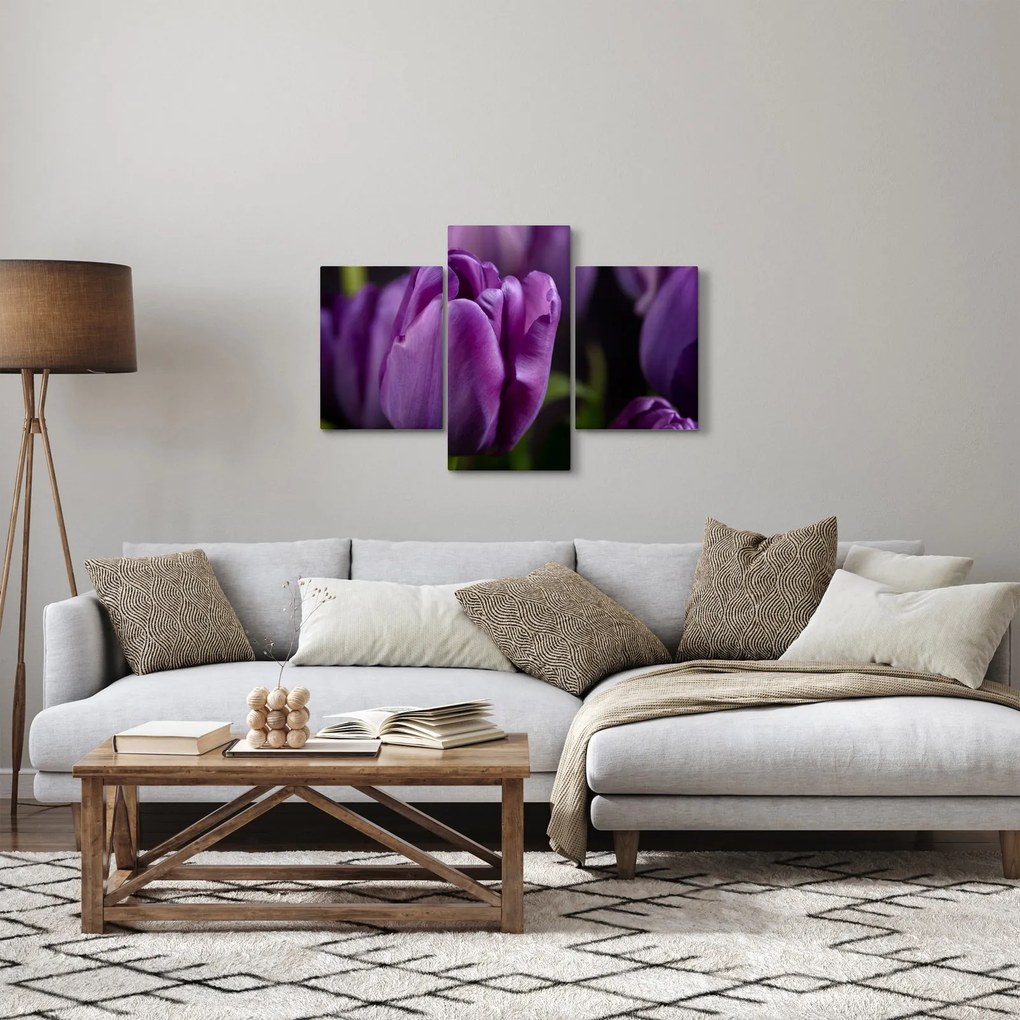 Obraz kvetov tulipánov (90x60 cm)