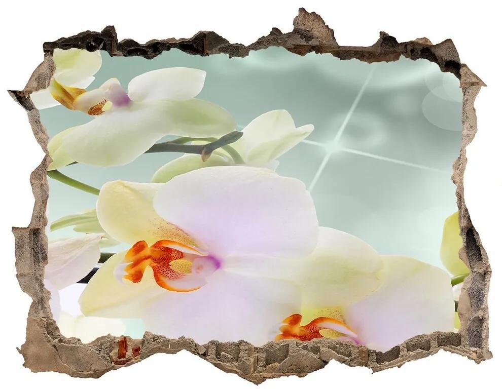 Samolepící díra nálepka Biela orchidea nd-k-91133337