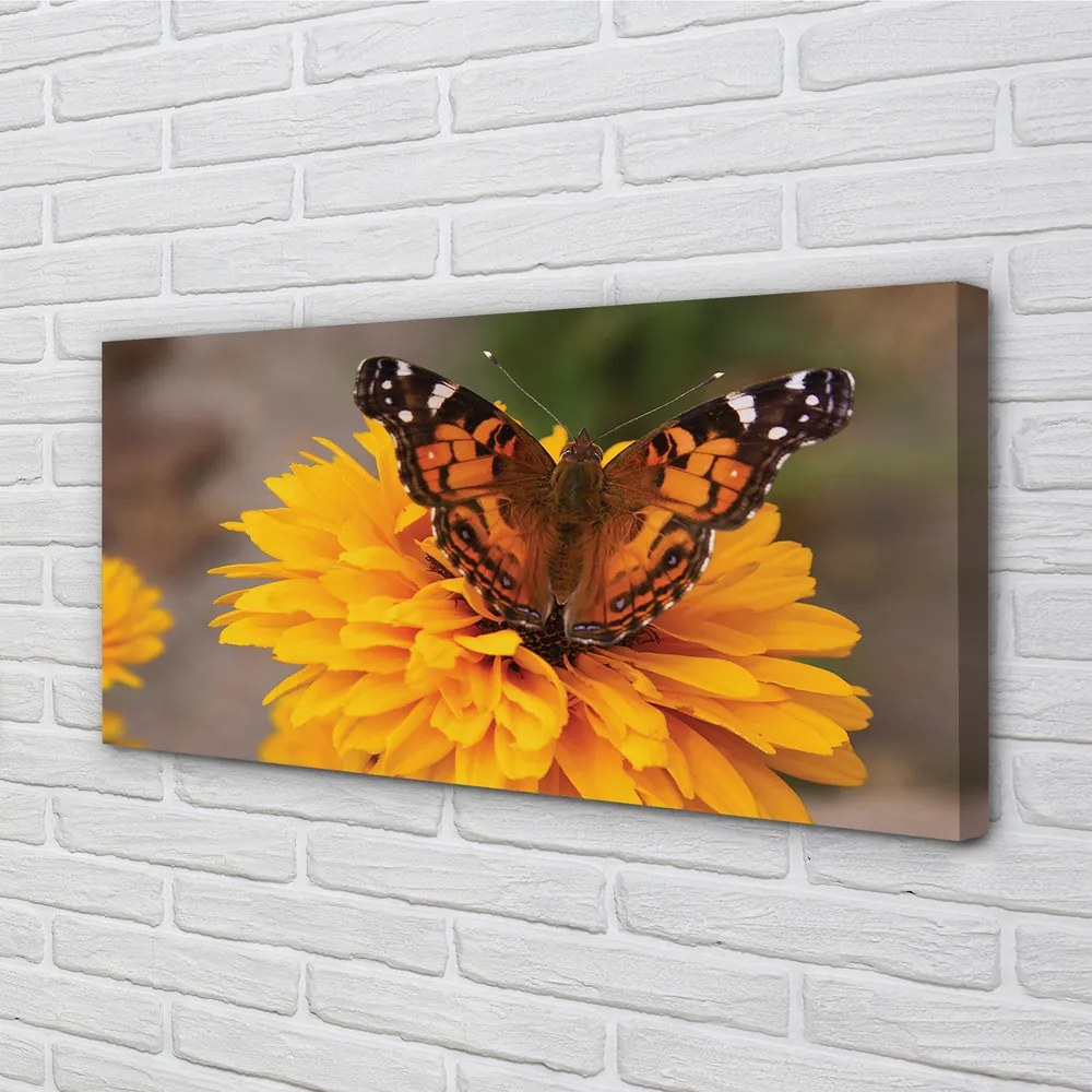 Obraz na plátne Farebný motýľ kvetina 120x60 cm