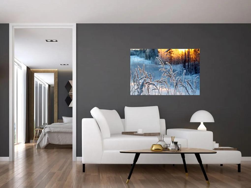 Obraz - Zimná lúka (90x60 cm)