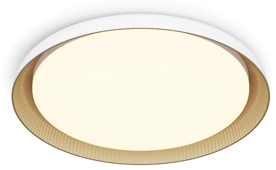 Philips - LED Stmievateľné stropné svietidlo PEBBLO LED/10W/230V 2700K biela