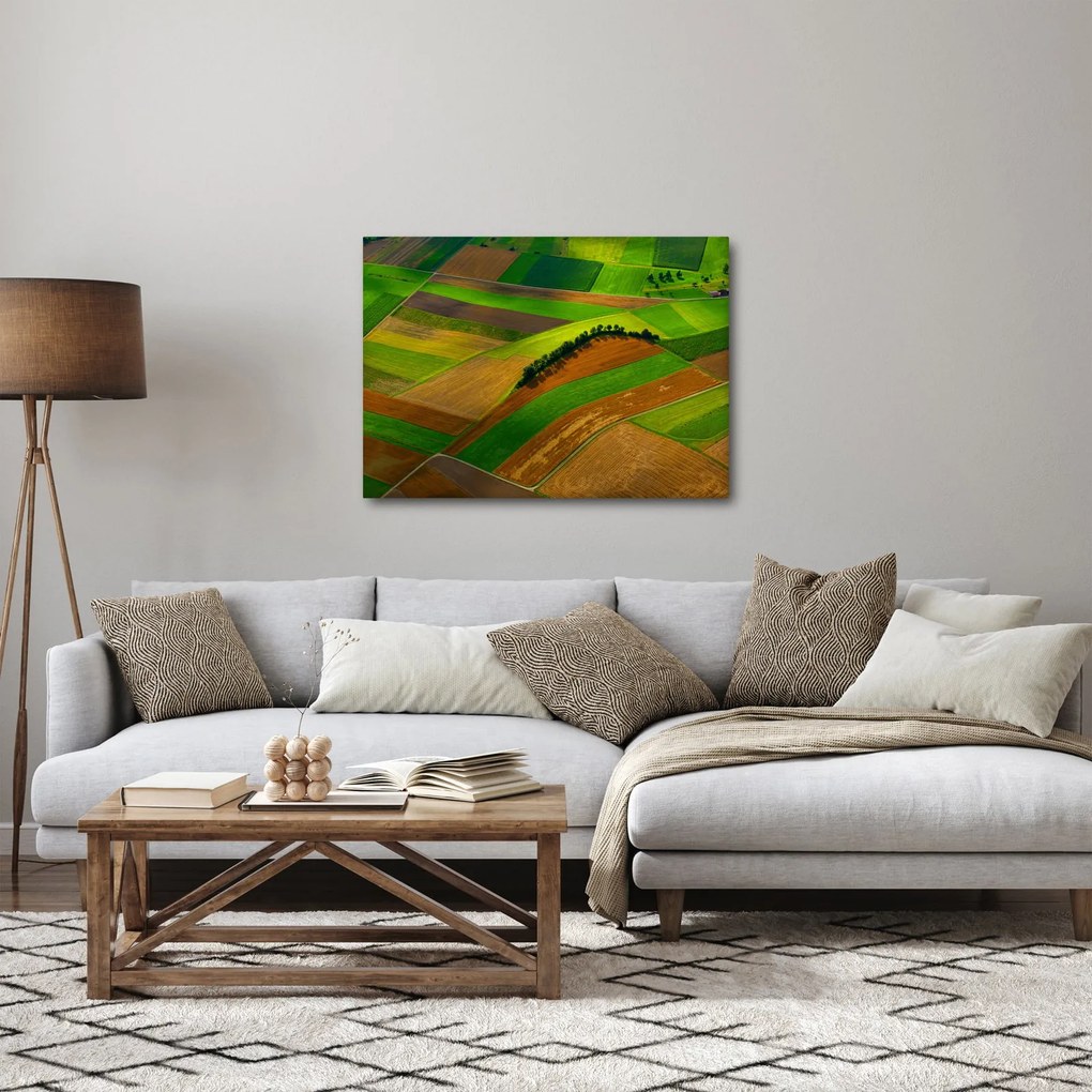 Obraz - Polia, lúky (70x50 cm)