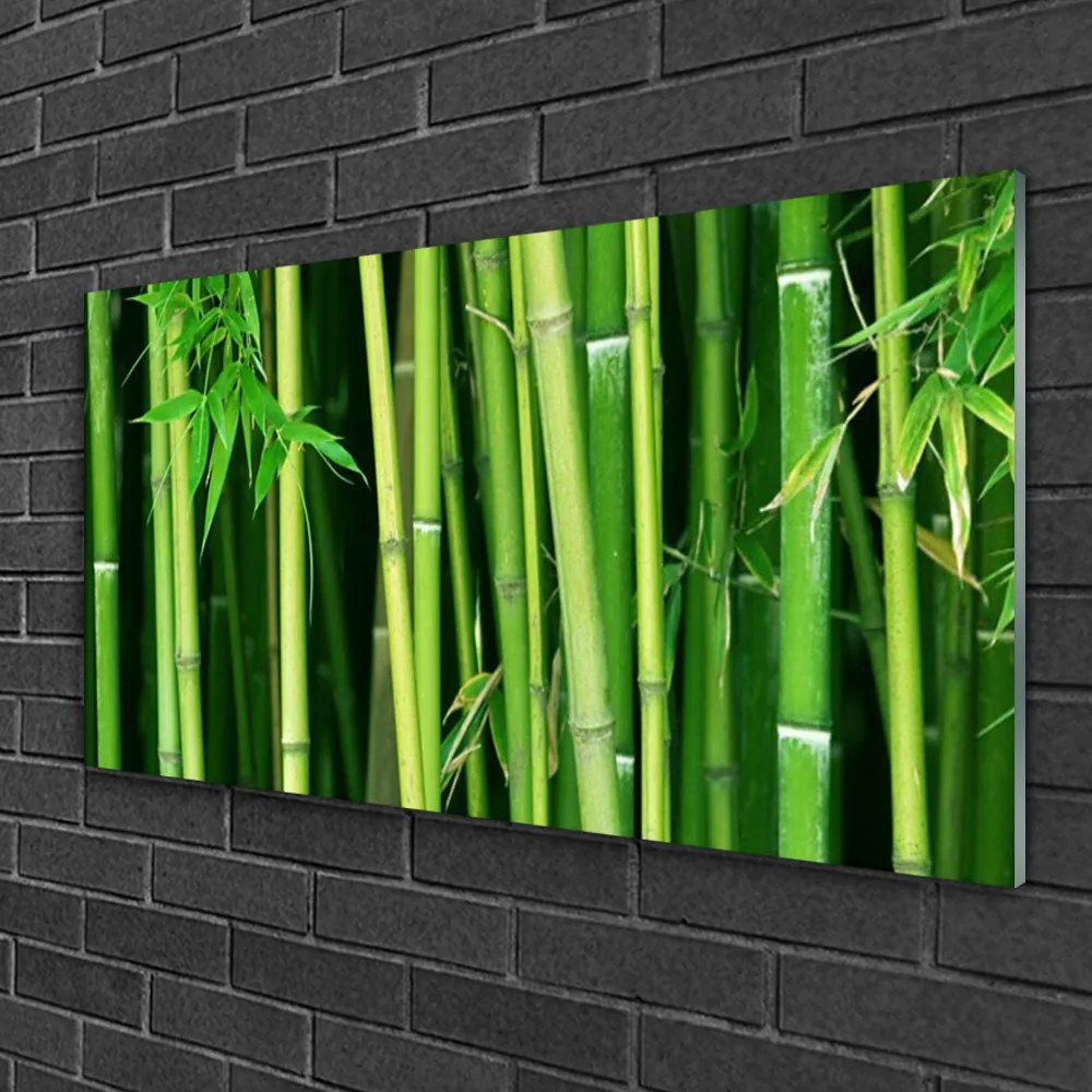 Skleneny obraz Bambusový les bambus príroda 125x50 cm