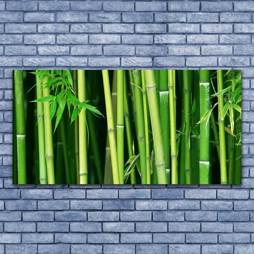 Obraz plexi Bambusový les bambus príroda 120x60 cm