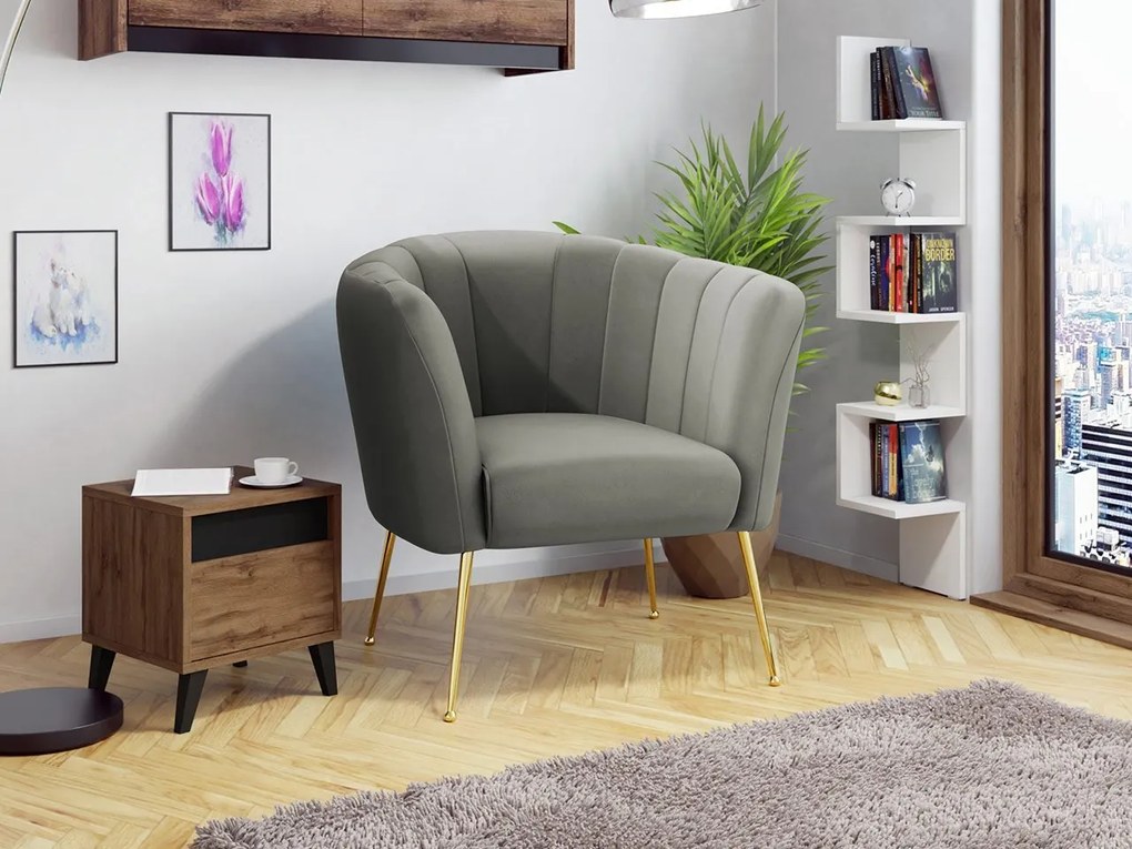 Čalúnené kreslo Rimilo, Dostupné poťahy: Magic Velvet 2217