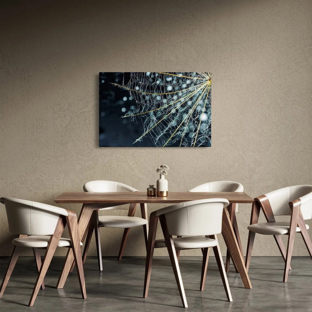 Obraz -Kvet s pavučinou (90x60 cm)