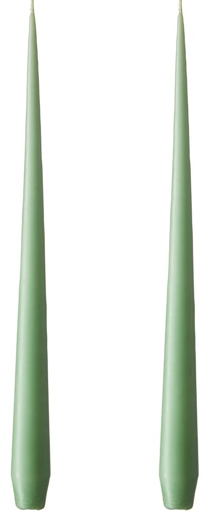 ester & erik Sviečka Taper 32 cm – 66 Eucalyptus – sada 2 ks