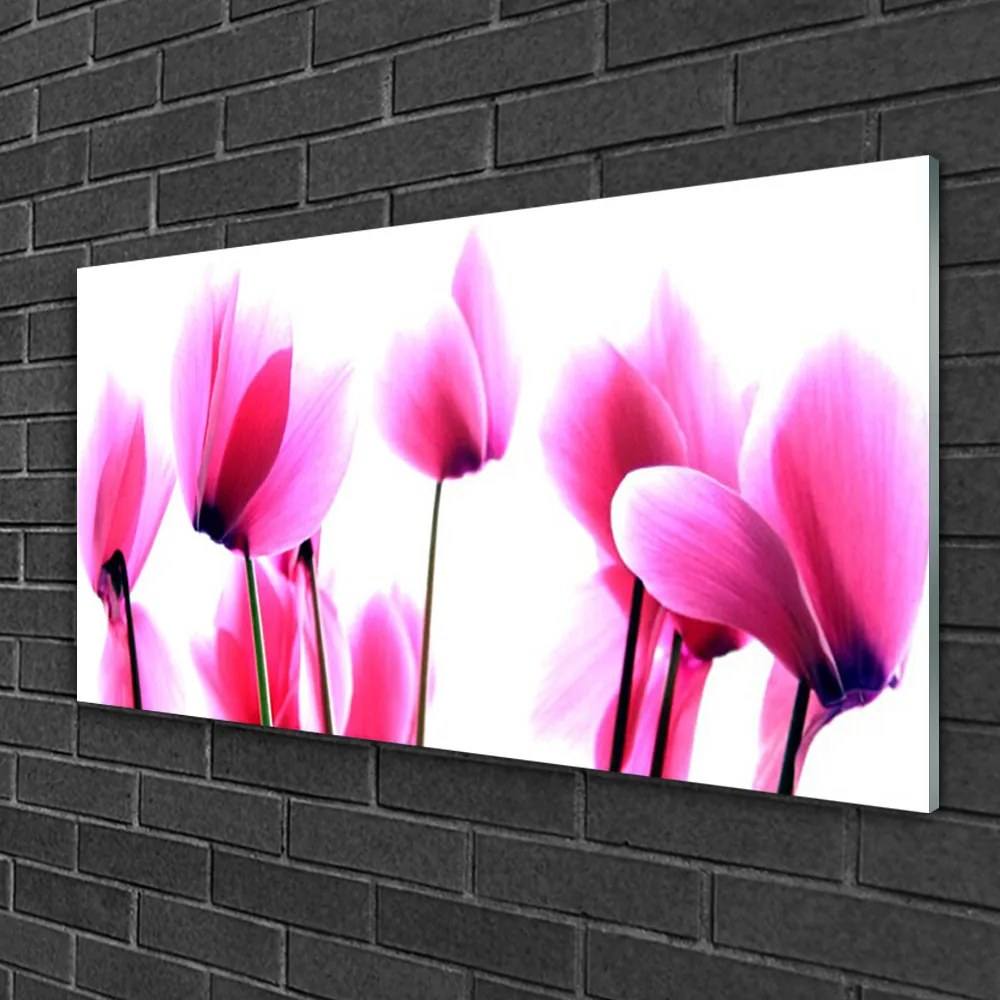 Obraz na skle Kvetiny rastlina 140x70 cm