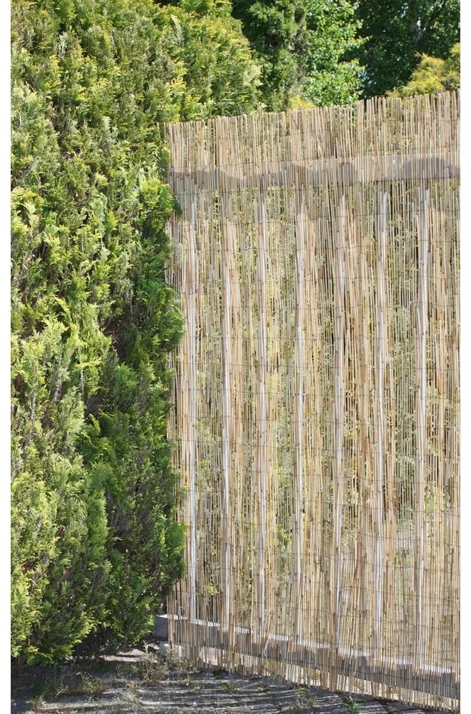Balkónová zástena z prútia v prírodnej farbe 300x200 cm – Garden Pleasure