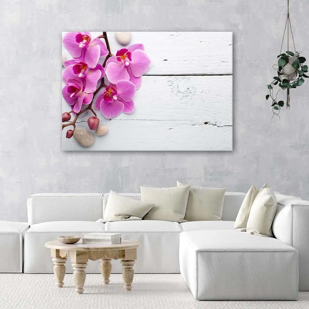 Gario Obraz na plátne Ružová orchidea a púčiky Rozmery: 60 x 40 cm