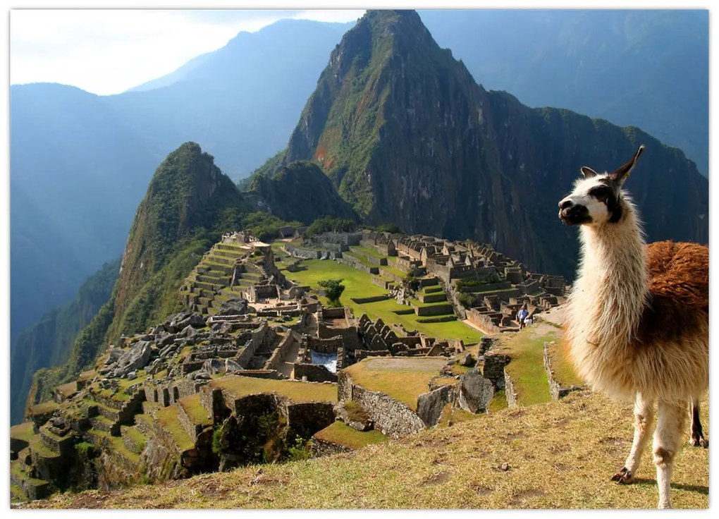 Obrázok - Lama a Machu Picchu (70x50 cm)