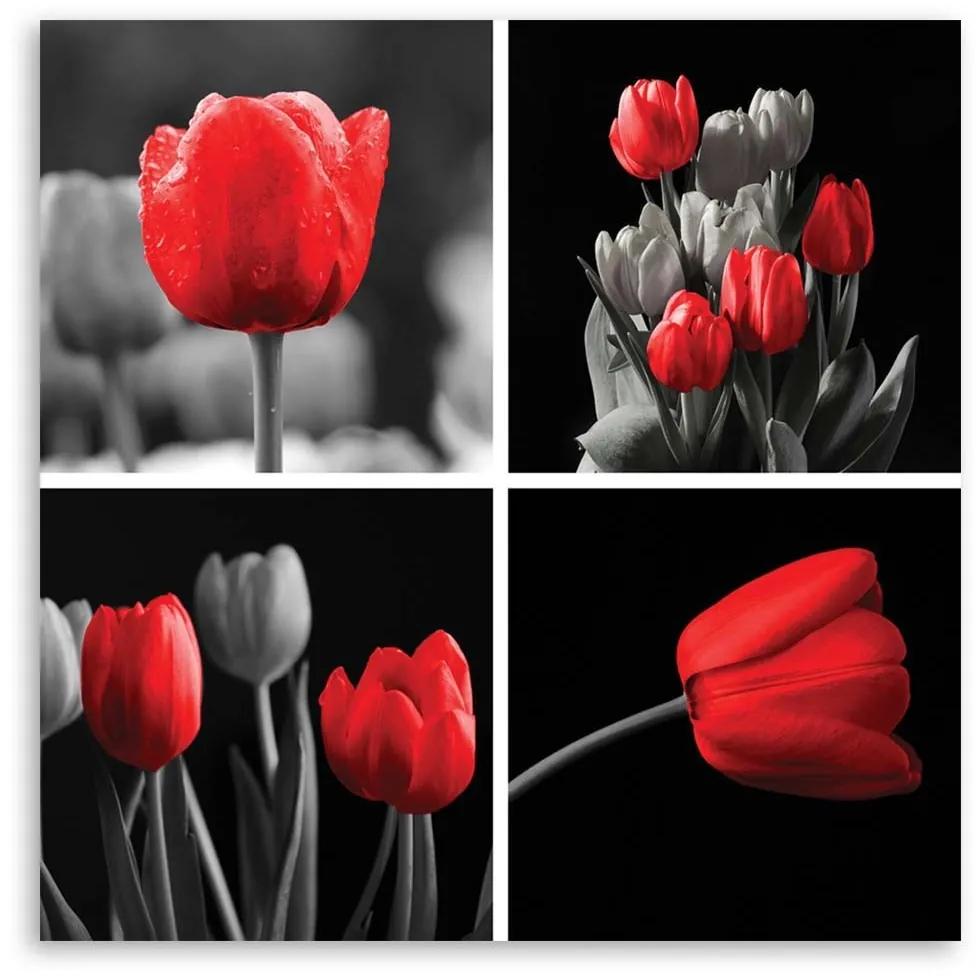 Obraz na plátně Sada červených tulipánů - 60x60 cm