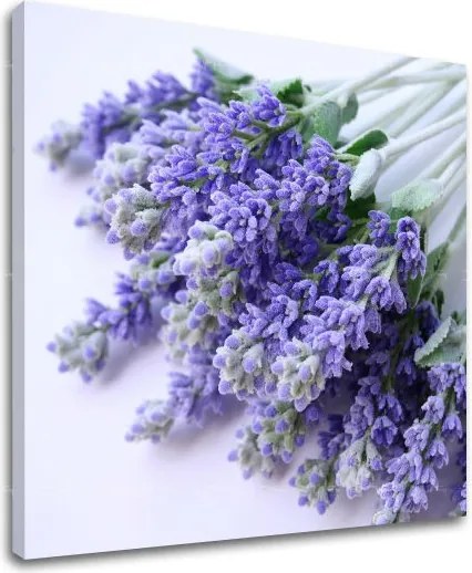 Obraz na stenu KVETY XOBKV122E12 - 30x30 cm