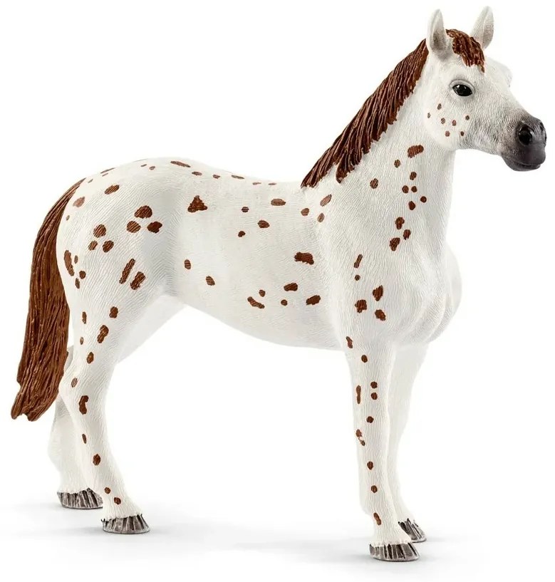 Schleich 42433 Appalosské kone a tréningové príslušenstvo, 7 ks