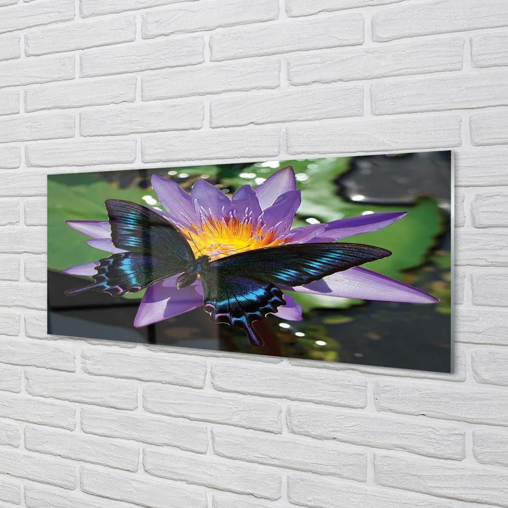 Obraz na akrylátovom skle Motýľ kvetina 120x60 cm