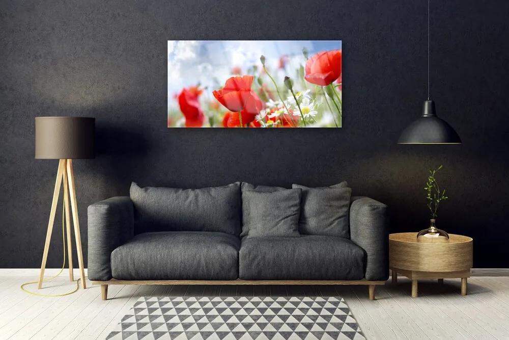 Skleneny obraz Maky sedmokrásky kvety 120x60 cm