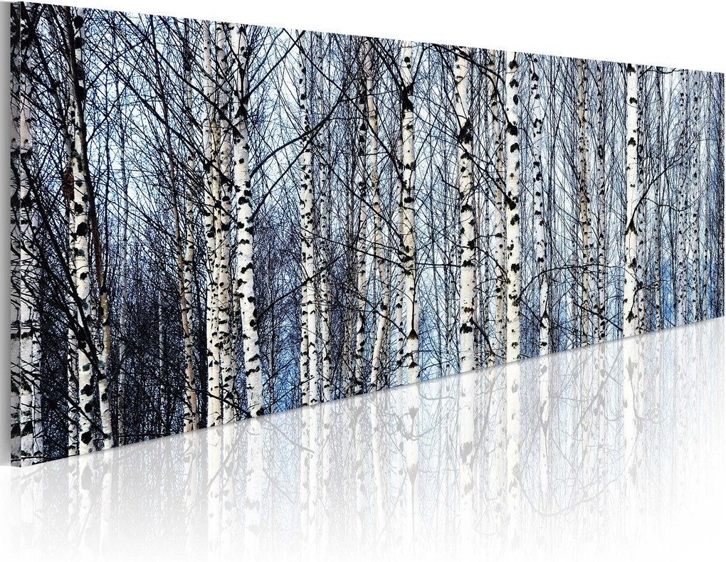 Obraz - White birches 120x40