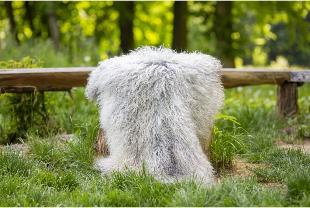 Ovčia kožušina GOTLAND svetlý