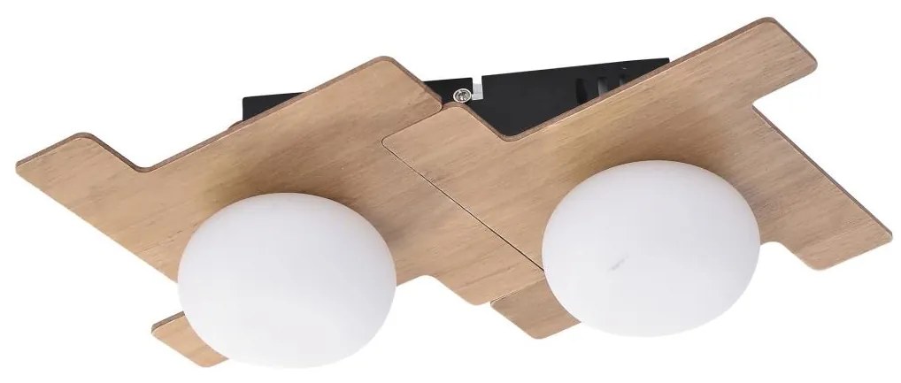 Rabalux Rabalux 6918 - LED Stropné svietidlo NORWOOD 2xLED/3W/230V RL6918