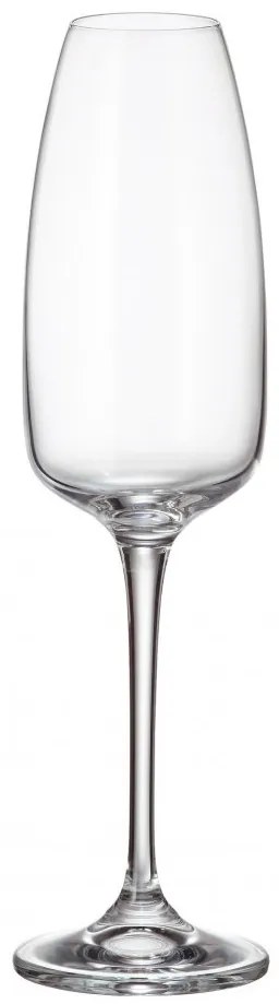 Sklenice na šampaňské, Crystalite Bohemia, ANSER/ALIZÉE 290 ml